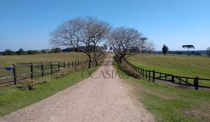 Haras à venda, Miringuava, São José dos Pinhais, PR