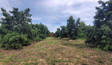 Área à venda, 45000 m² por R$ 1.200.000 - Área Rural - Monte Mor/SP