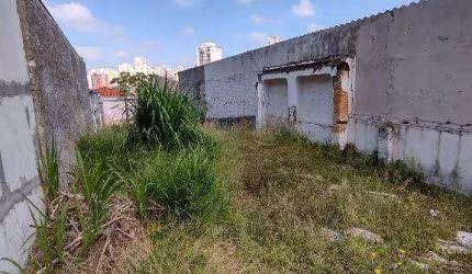 Terreno à venda, 204 m² por R$ 490.000,00 - Vila Gumercindo - São Paulo/SP