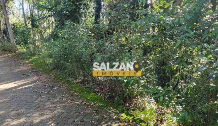 Área à venda, 1089 m² por R$ 290.000,00 - Rio Preto - Santo Antônio do Pinhal/SP