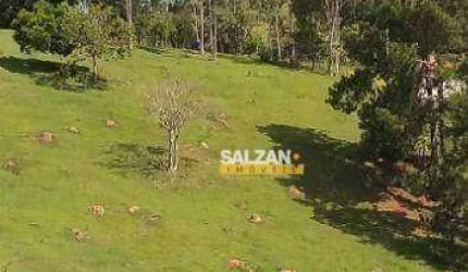Terreno à venda, 20000 m² por R$ 250.000 - Zona Rural - Natividade da Serra/SP