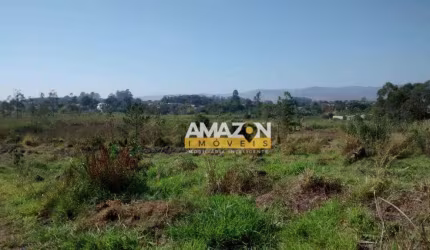 Área à venda, 600 m² por R$ 300.000,00 - Campinas - Pindamonhangaba/SP