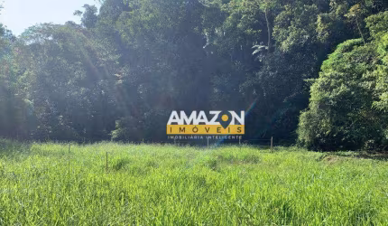 Terreno à venda, 1650 m² por R$ 100.000,00 - Sertãozinho - Santo Antônio do Pinhal/SP
