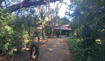 Casa em condomínio fechado com 6 quartos à venda no Parque São Sebastião, Ribeirão Preto  por R$ 700.000