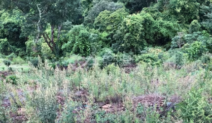 Terreno em condomínio fechado à venda em Escarpas do Lago, Capitólio  por R$ 1.100.000