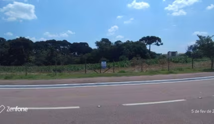 Excelente Terreno com  4.862 m² por R$ 4.000.000 - Vila Nova - Araucária/PR