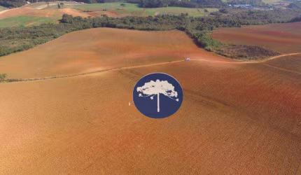 Área à venda, 297660 m² por R$ 12.000.000,00 - Guajuvira - Araucária/PR