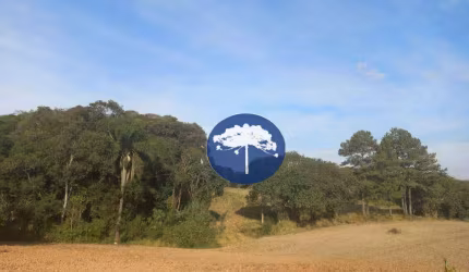 Área à venda, 114276 m² por R$ 13.000.000,00 - Zona Rural - Araucária/PR