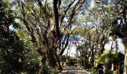 Terreno à venda, 517 m² por R$ 750.000,00 - Bosque do Vianna - Cotia/SP