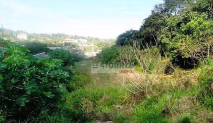 Terreno à venda, 2931 m² por R$ 1.200.000,00 - Paisagem Renoir - Cotia/SP
