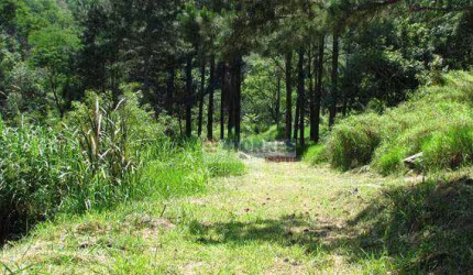 Área à venda, 143000 m² por R$ 30.000.000,00 - Cururuquara - Santana de Parnaíba/SP