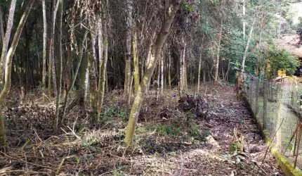 Terreno em condomínio fechado à venda em Cocais, Ibiúna  por R$ 250.000