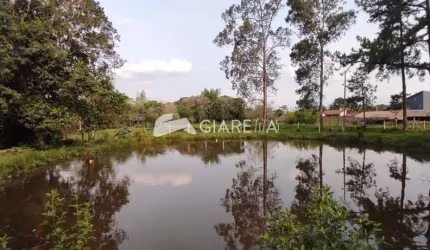 Chácara com excelente localização à venda, TOCANTINS, TOLEDO - PR