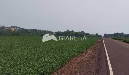 Área Rural com excelente localização à venda, DOIS IRMÃOS, TOLEDO - PR