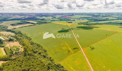 Área rural com 49.5 Alqueires localizada na LINHA MANDARINA, TOLEDO-PR