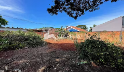 Terreno amplo para venda no JARDIM CONCÓRDIA em TOLEDO-PR