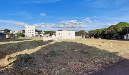 Terreno amplo com excelente metragem à venda, VILA BECKER, TOLEDO - PR