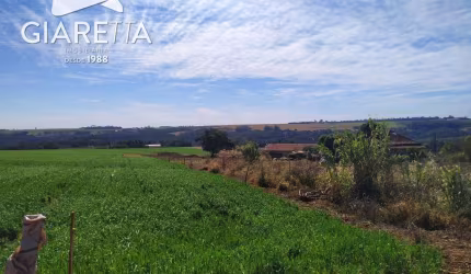 Chácara à venda,10000.00m , NOVO SOBRADINHO, TOLEDO - PR