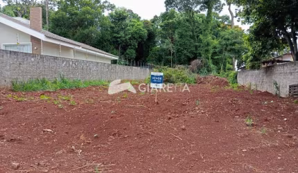 Terreno com 750,00 m2, na Rua Alcides Pan, Vila Becker, Toledo - PR