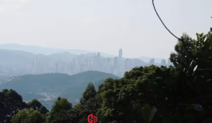 CHÁCARA BEM LOCALIZADO 26.700 M2 CAMBORIÚ - SC