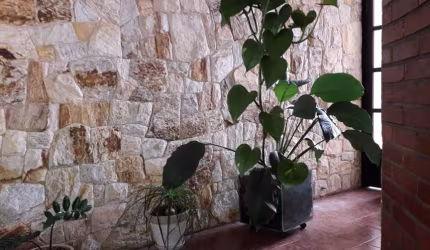Casa à venda, 3 quartos, 3 suítes, 5 vagas, Vila Euclides - São Bernardo do Campo/SP