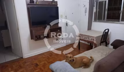 Apartamento à venda, 2 quartos, Aparecida - Santos/SP