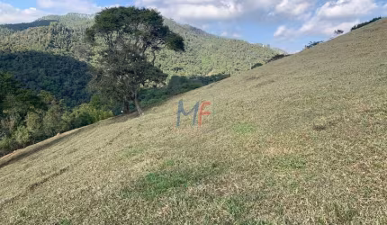 Excelente sítio em Campos do Jordão, 157.300 m² a.t., com linda vista, duas nascentes, casa de caseiro e chiqueiro (REF 17.375)