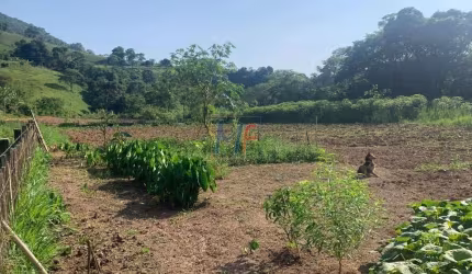 Excelente terreno no Bairro dos Borges, Piranguçu - MG, 2.900 m² a.t., localizado na zona rural, na divisa com Campos do Jordão (REF 18.084)