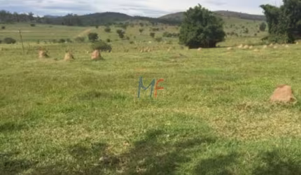 Excelente terreno em Pindamonhangaba/SP, com 800.000 m² de área, para fim industrial - Testada de 403 m . (REF 18.317)