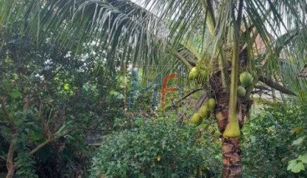 Excelente Casa Térrea em  Perequê Mirim, Caraguatatuba, com 987  m² terreno, 150 m2 a.c. , 4 dorms.,( 1 suíte), jardim e  8 vagas. REF: 19.358