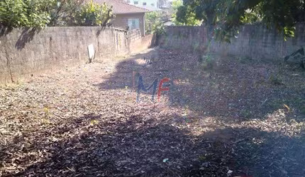 REF: 11.008 Ótimo terreno com 761,50 m², testada de 12 m², terra boa para plantio de plantas e frutas, zoneamento ZC. Estuda propostas.