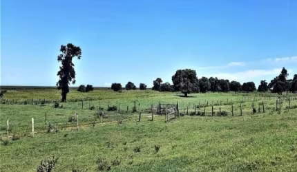 Fazenda 74 alqueires / gado, Dores de Macabu, Campos dos Goytacazes
