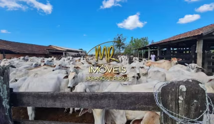Fazenda à venda na Zona Rural, Araruama  por R$ 9.000.000