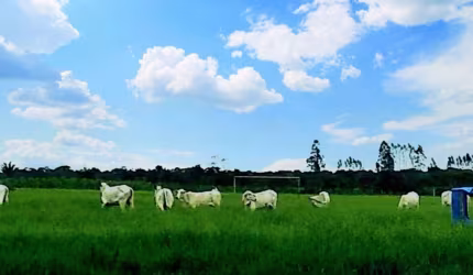 Fazenda Caraíva, Porto Seguro - BA