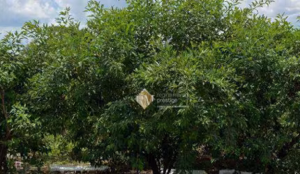 Terreno à venda, 160 m² por R$ 150.000,00 - Jardim Santa Marta III - Salto/SP