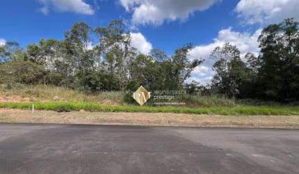 Terreno à venda, 2040 m² por R$ 1.650.000 - Loteamento Residencial Parque Terras de Santa Cecília - Itu/SP