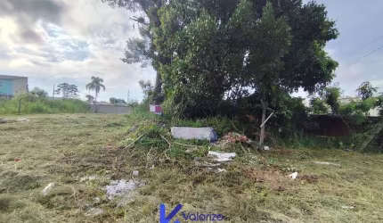 Terreno Shangri-lá para investidor