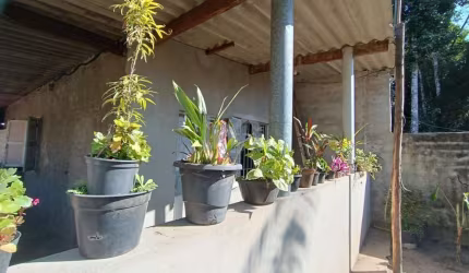 Chácara para Venda em Itanhaém, Parque Alvorada, 2 dormitórios, 2 suítes, 1 banheiro, 2 vagas