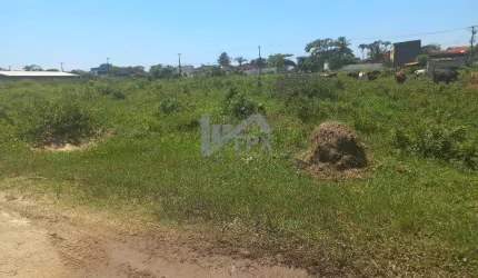 Terreno para Venda em Itanhaém, Jardim das Palmeiras