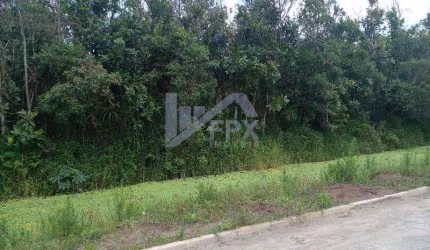 Terreno para Venda em Itanhaém, Jardim Coronel