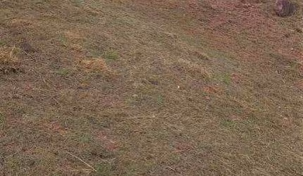 Terreno à venda - Condomínio Bosque do Horto - Jundiaí/SP