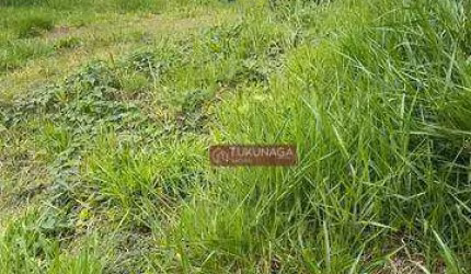 Terreno à venda, 360 m² por R$ 700.000,00 - Parque Residencial Itapeti - Mogi das Cruzes/SP