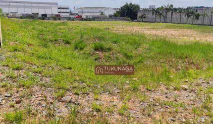Área para alugar, 10000 m² por R$ 100.000,00/mês - Cidade Parque São Luiz - Guarulhos/SP