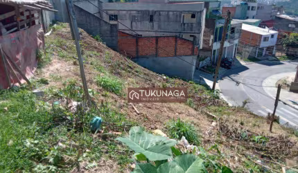 Terreno à venda, 800 m² por R$ 320.000,00 - Parque Primavera - Guarulhos/SP