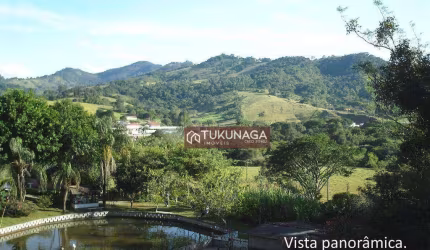 Chácara à venda, 8000 m² por R$ 750.000,00 - Itapeva - Itapeva/MG