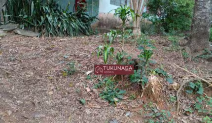 Chácara com 2 dormitórios à venda, 1000 m² por R$ 400.000,00 - Chácara Cabuçu - Guarulhos/SP