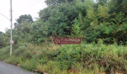 Terreno à venda, 250 m² por R$ 80.000,00 - Jardim Luiza - Guararema/SP