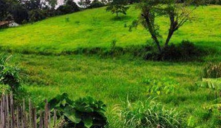 Terreno à venda, 19980 m² por R$ 2.000.000,00 - São Bento - Arujá/SP
