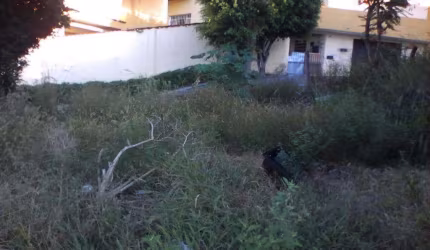 Terreno à venda, 142 m² por R$ 180.000,00 - Jardim Progresso - Franco da Rocha/SP