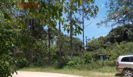 Fazenda Para Vender com 2 quartos no bairro Estação em Juquiá
